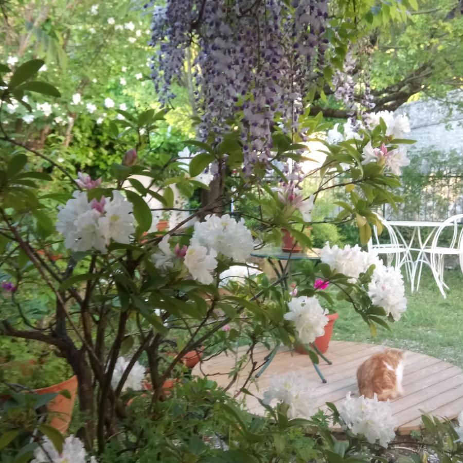 Casa Bartolacci Charme In Bivigliano エクステリア 写真