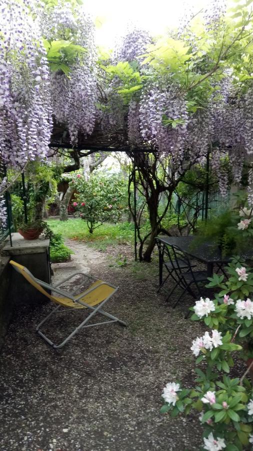 Casa Bartolacci Charme In Bivigliano エクステリア 写真