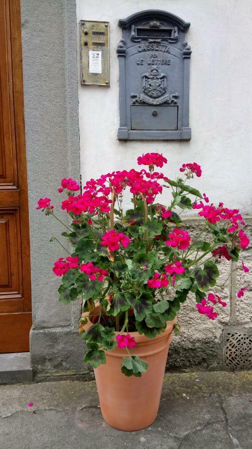Casa Bartolacci Charme In Bivigliano エクステリア 写真