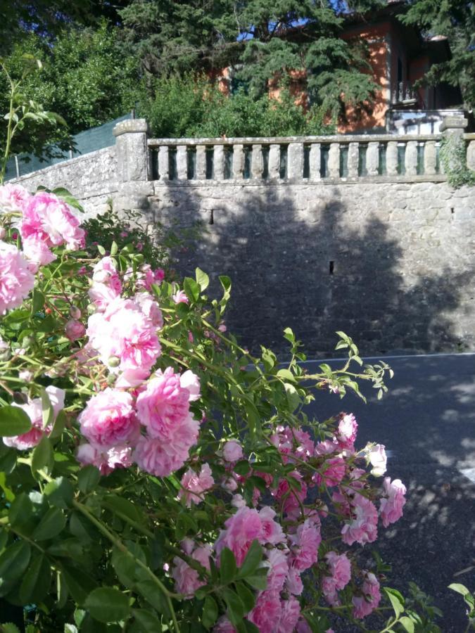 Casa Bartolacci Charme In Bivigliano エクステリア 写真